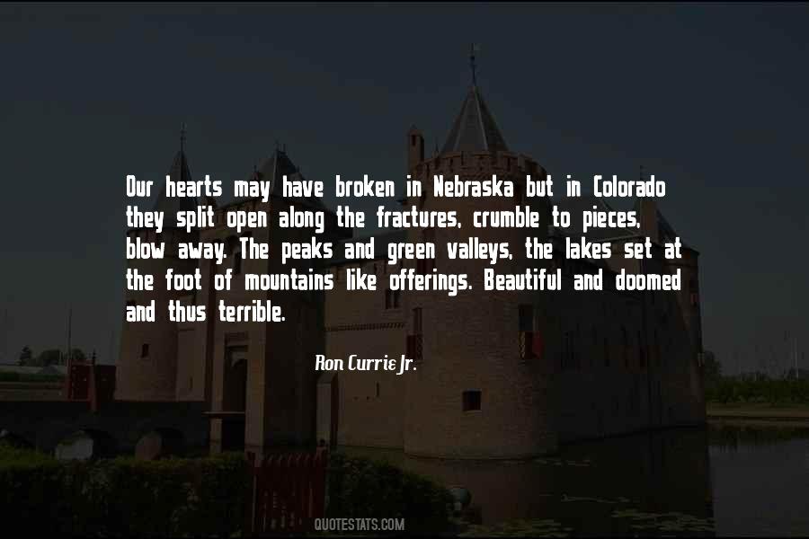 Ron Currie Jr. Quotes #1682878