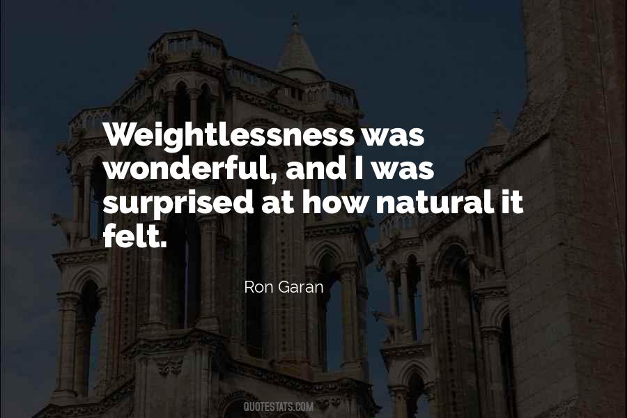 Ron Garan Quotes #1653413