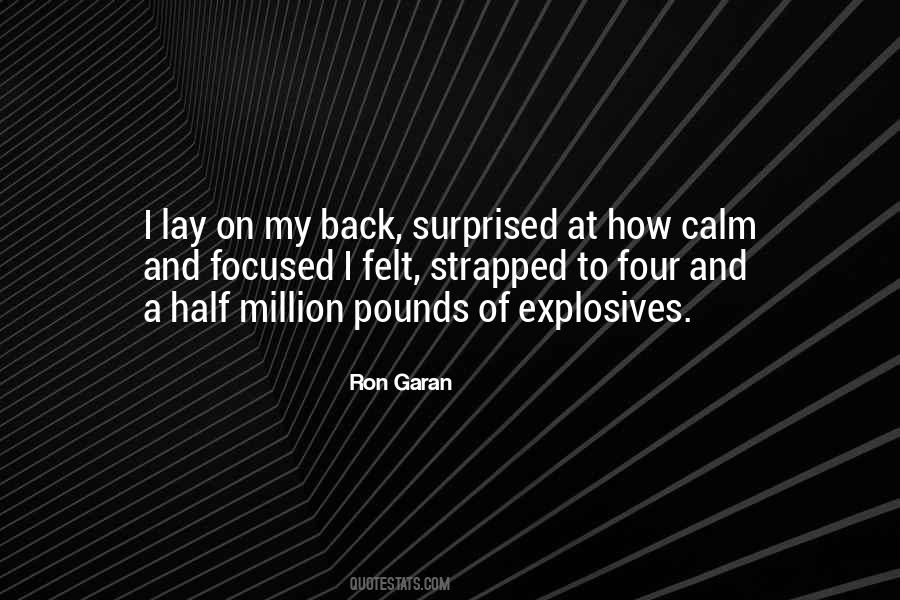 Ron Garan Quotes #737663