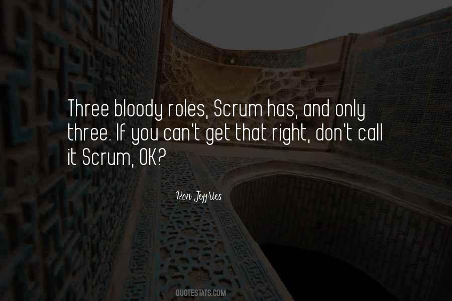 Ron Jeffries Quotes #1364525