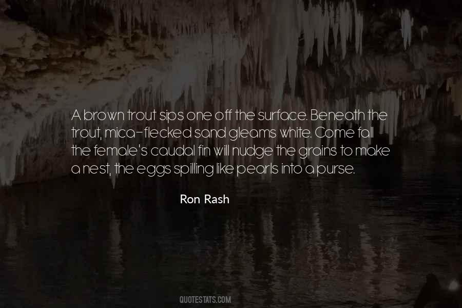 Ron Rash Quotes #79837