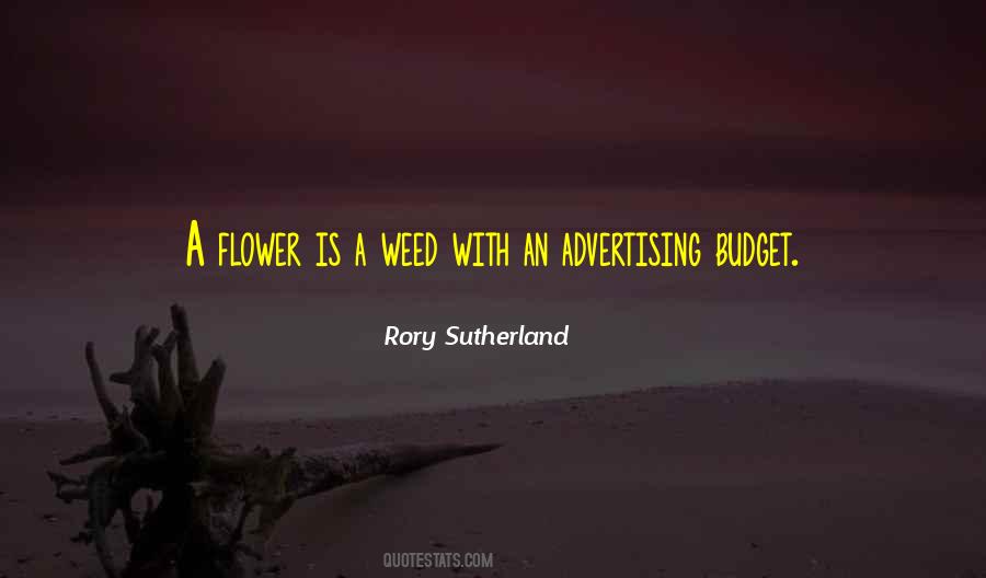 Rory Sutherland Quotes #1427348
