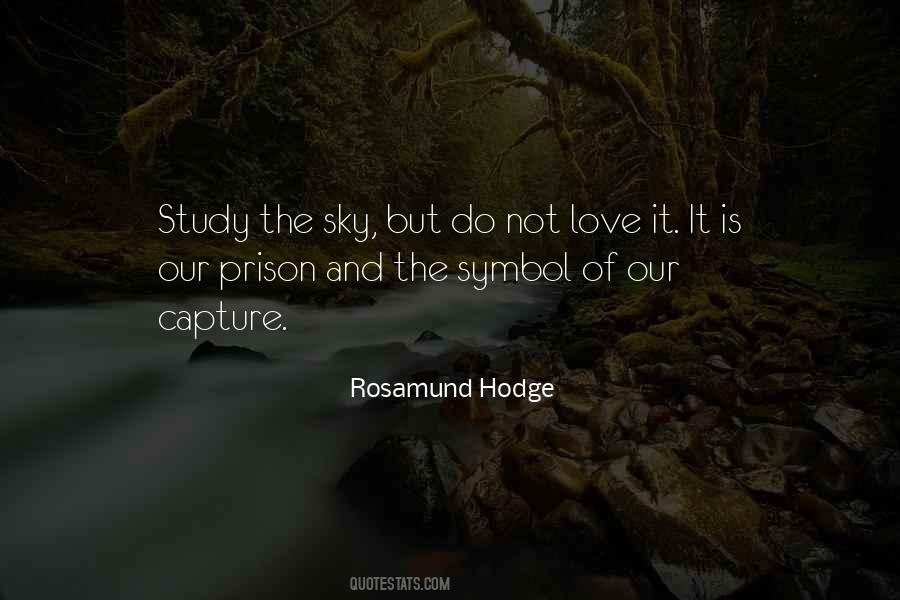 Rosamund Hodge Quotes #963991