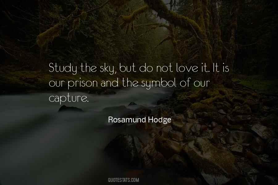 Rosamund Hodge Quotes #963991