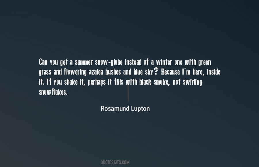 Rosamund Lupton Quotes #504025