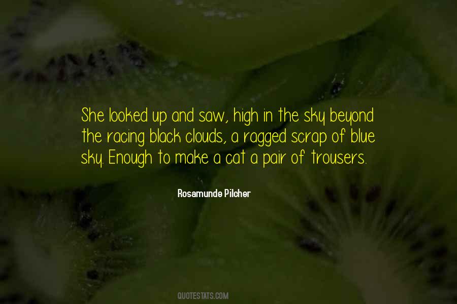 Rosamunde Pilcher Quotes #195641