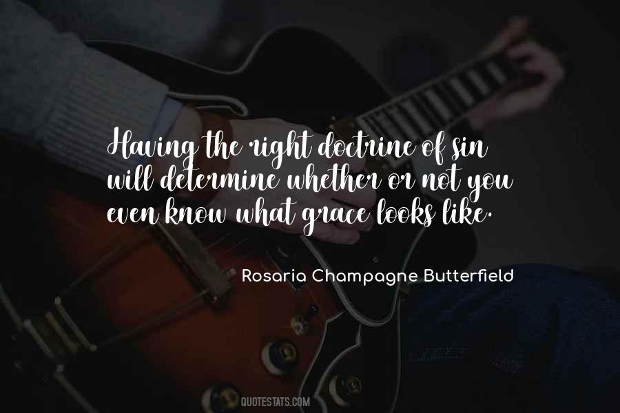 Rosaria Champagne Butterfield Quotes #140943