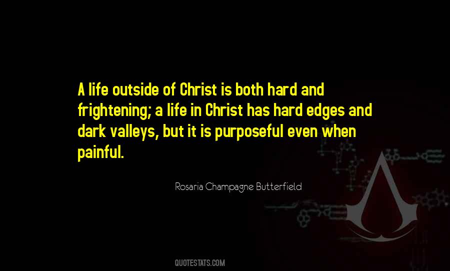 Rosaria Champagne Butterfield Quotes #159414