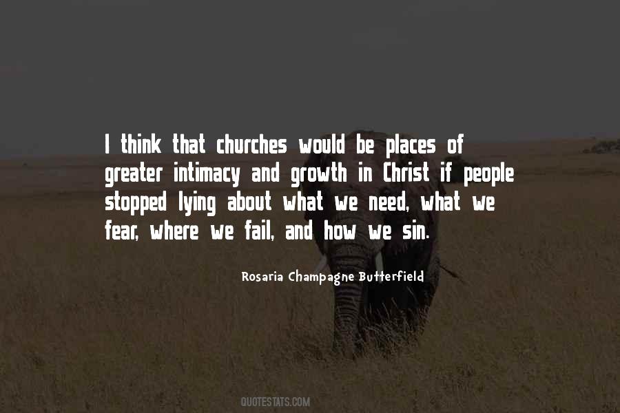 Rosaria Champagne Butterfield Quotes #628933