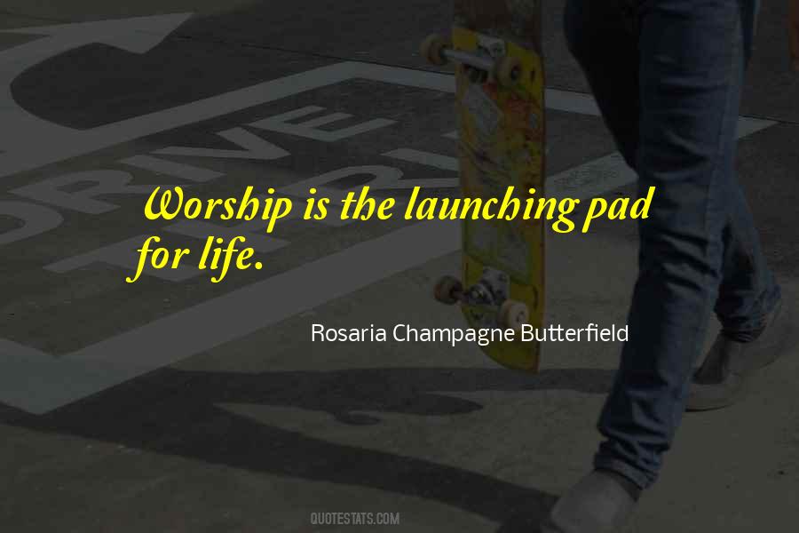 Rosaria Champagne Butterfield Quotes #672620