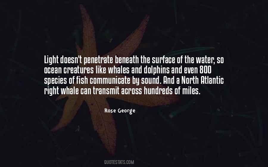 Rose George Quotes #1003458