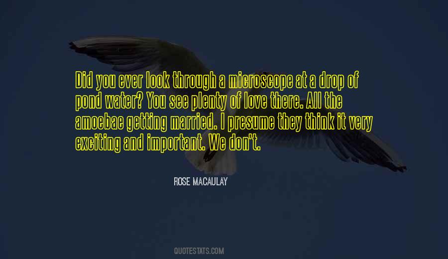 Rose Macaulay Quotes #1002178