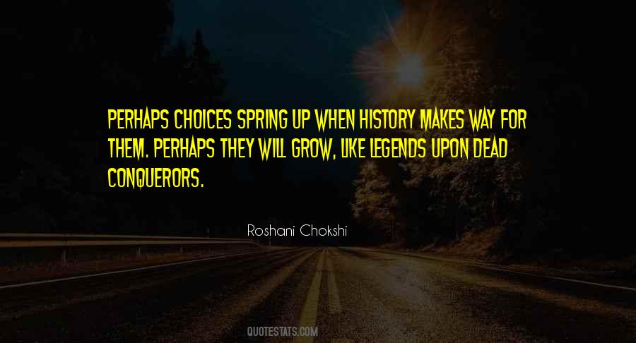 Roshani Chokshi Quotes #75731