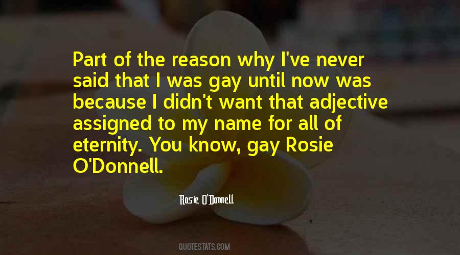 Rosie O'Donnell Quotes #1759876