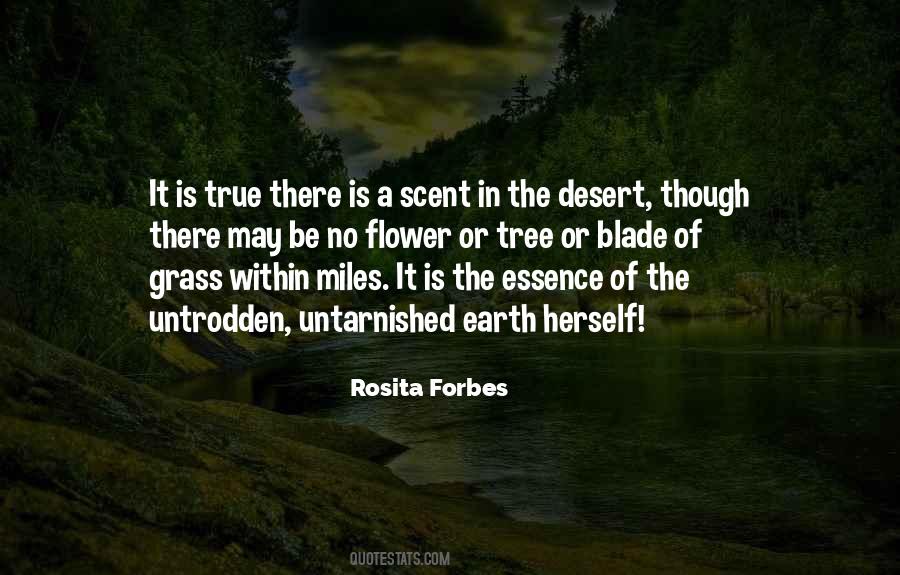 Rosita Forbes Quotes #1771064