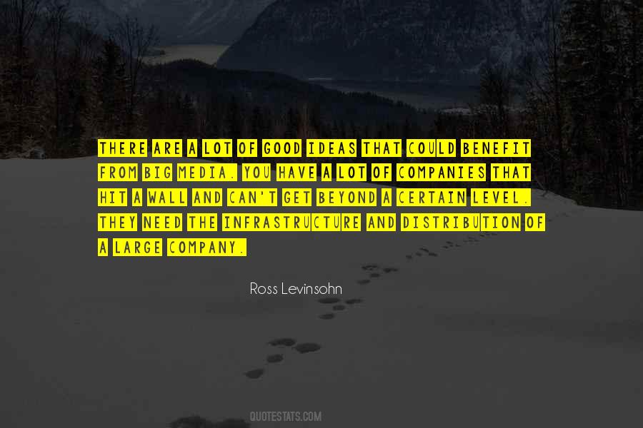 Ross Levinsohn Quotes #548560