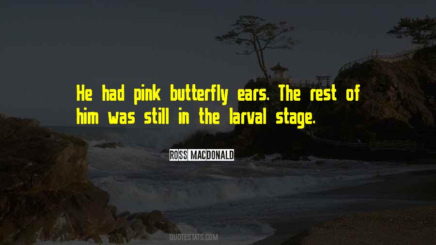 Ross Macdonald Quotes #792997