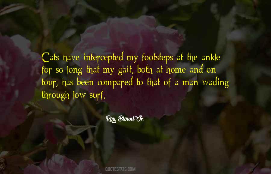 Roy Blount Jr. Quotes #63483