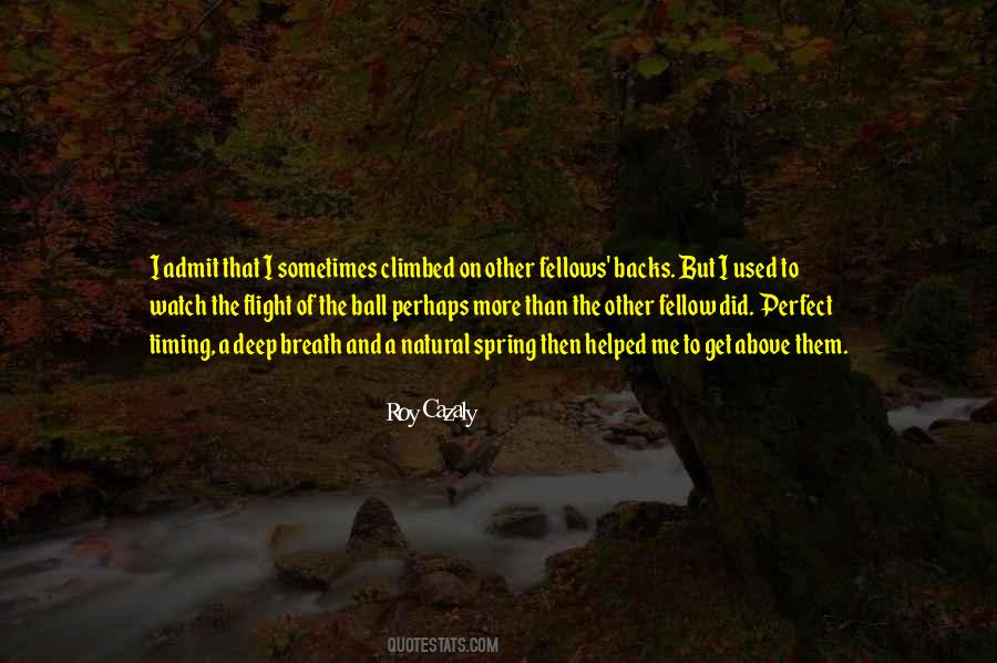 Roy Cazaly Quotes #532038 Roy Cazaly Quotes #532038