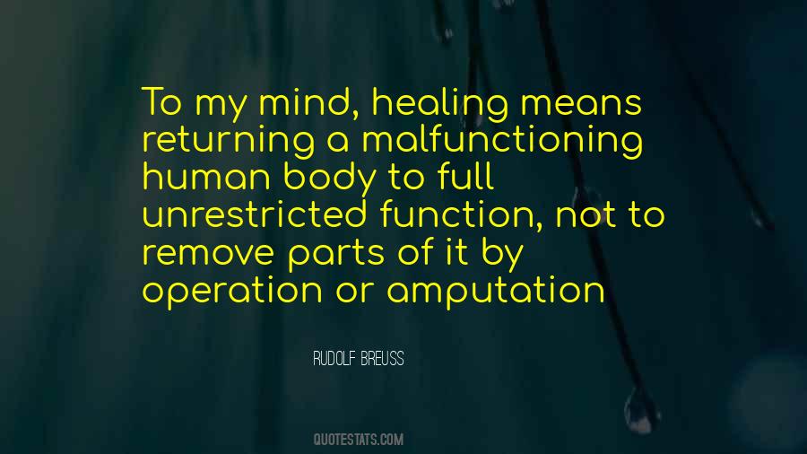 Rudolf Breuss Quotes #696835