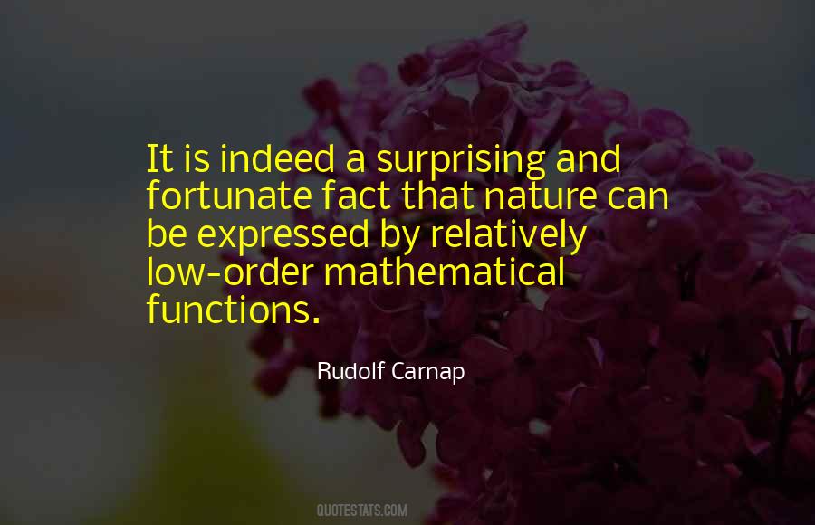 Rudolf Carnap Quotes #885620