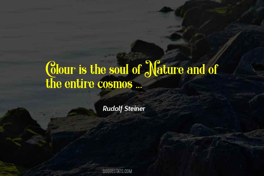 Rudolf Steiner Quotes #1253597