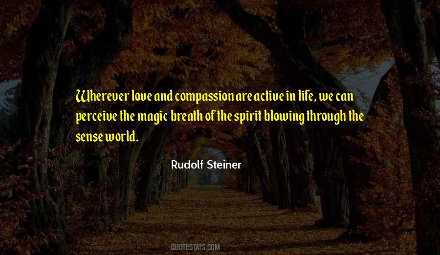 Rudolf Steiner Quotes #1815703