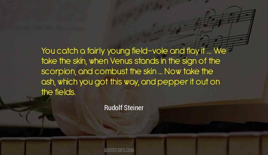 Rudolf Steiner Quotes #439523