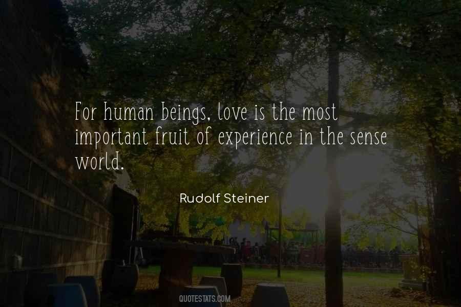 Rudolf Steiner Quotes #960604