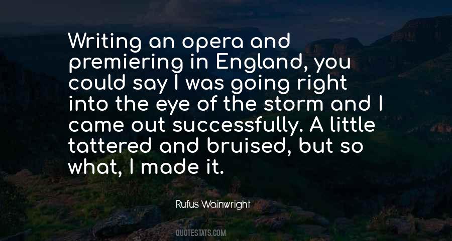 Rufus Wainwright Quotes #1066766