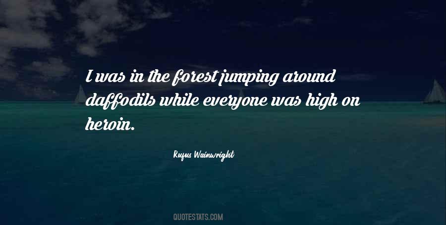 Rufus Wainwright Quotes #28408