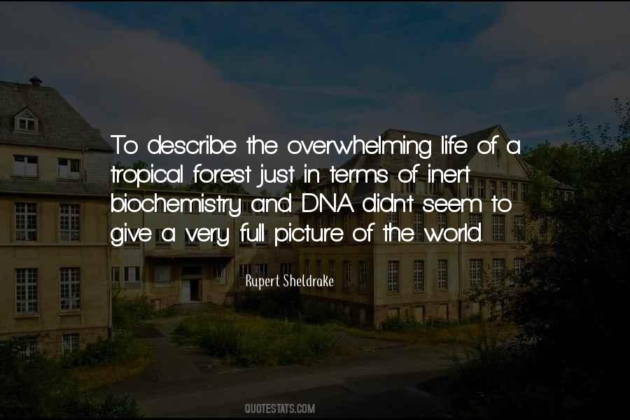 Rupert Sheldrake Quotes #150197