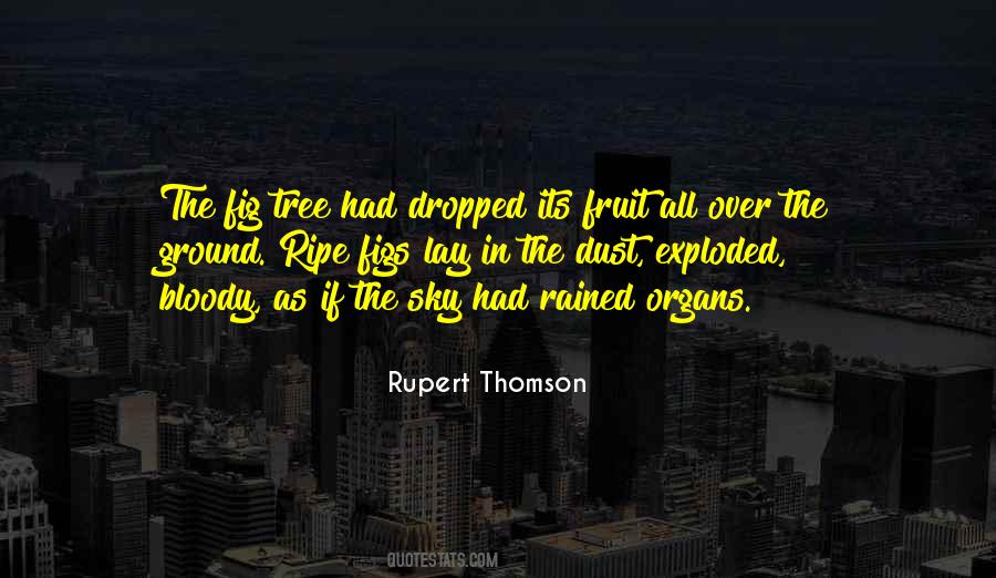 Rupert Thomson Quotes #93171