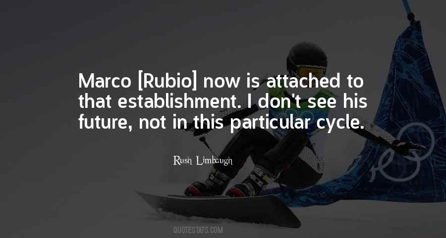 Rush Limbaugh Quotes #86516