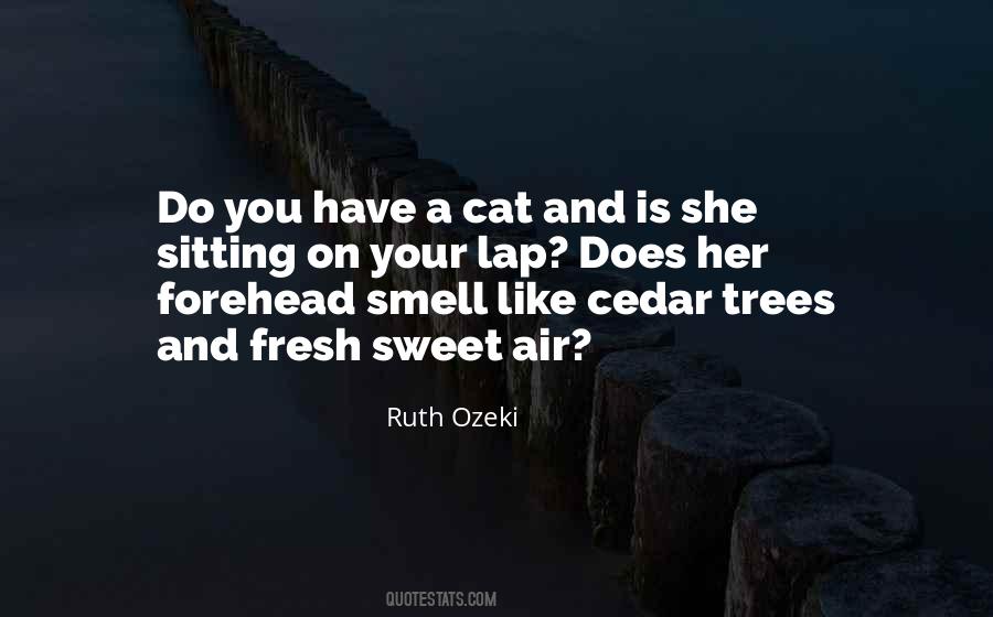 Ruth Ozeki Quotes #964850
