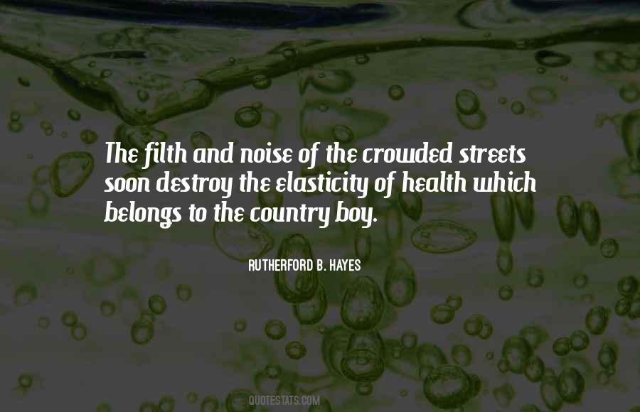 Rutherford B. Hayes Quotes #639484