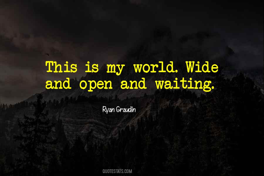 Ryan Graudin Quotes #1525936