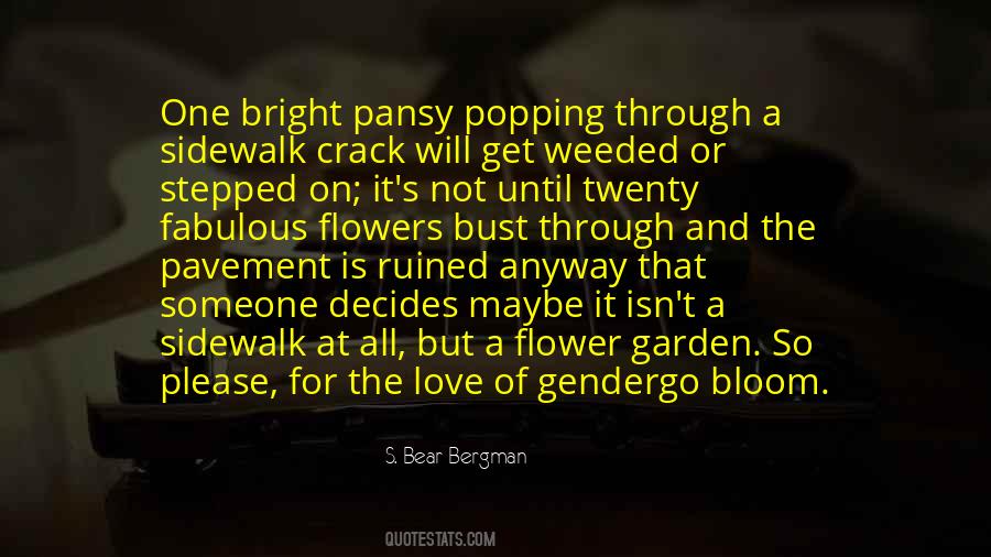 S. Bear Bergman Quotes #907283