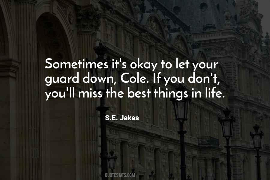 S.E. Jakes Quotes #177916