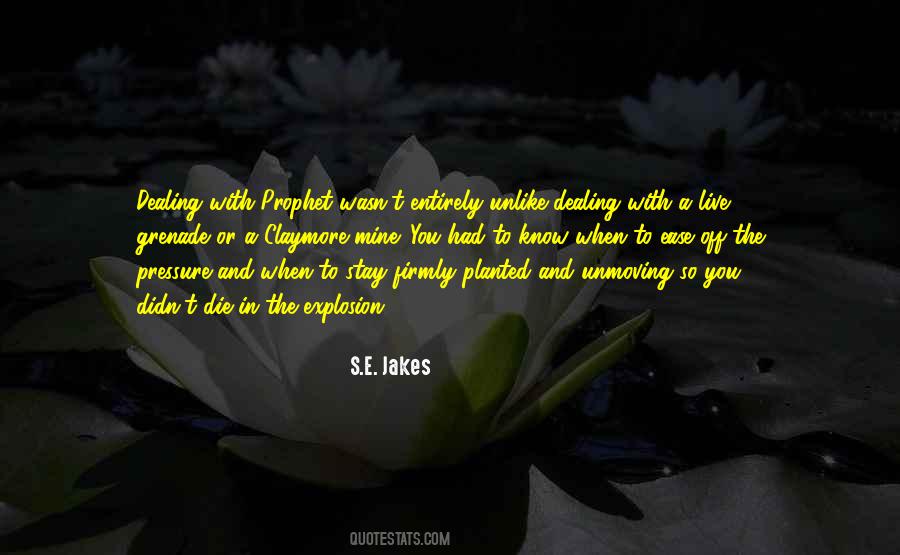 S.E. Jakes Quotes #1862195