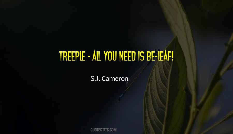 S.J. Cameron Quotes #1320057