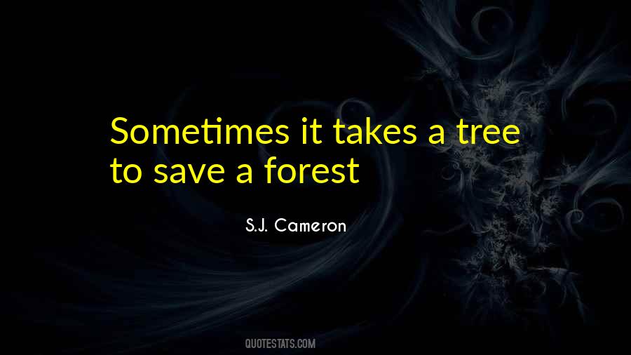 S.J. Cameron Quotes #539725