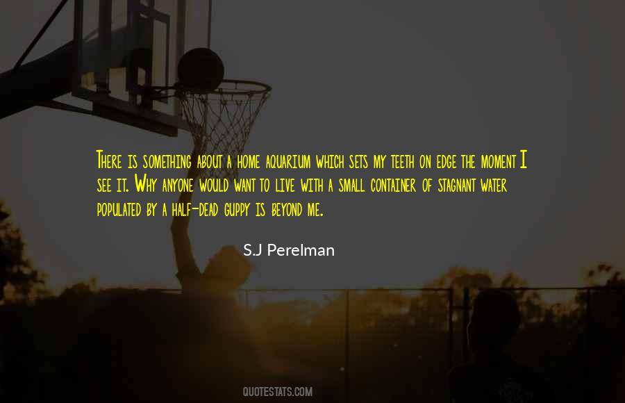 S.J Perelman Quotes #1205392
