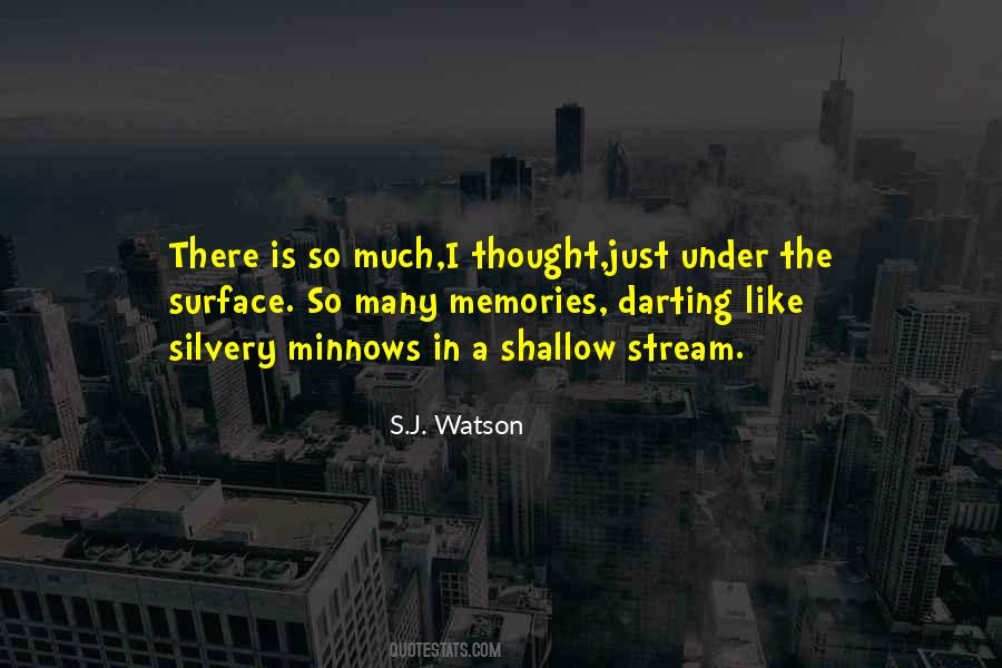 S.J. Watson Quotes #1124287