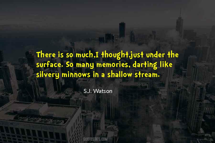 S.J. Watson Quotes #1124287 S.J. Watson Quotes #1124287