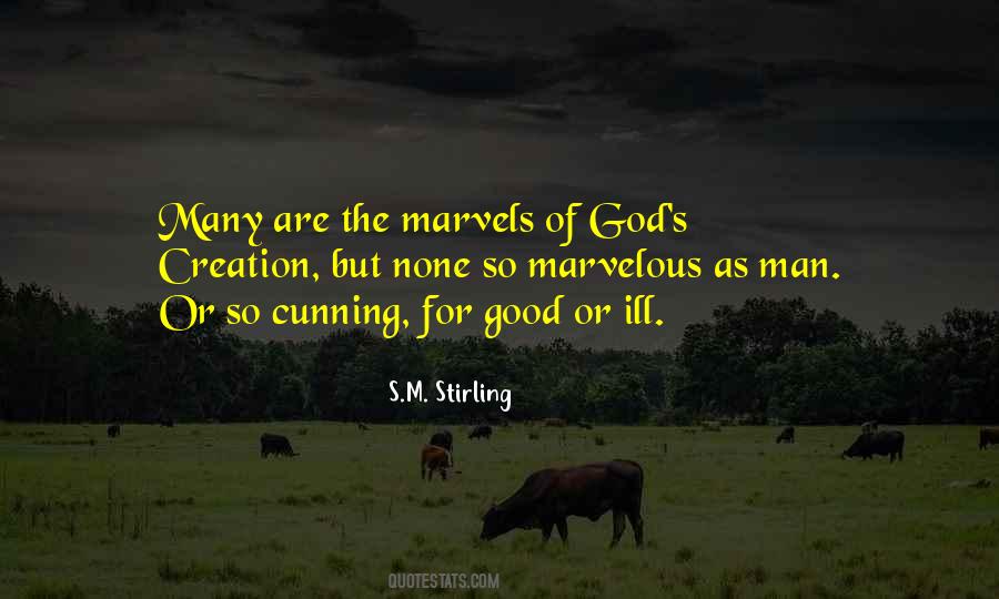 S.M. Stirling Quotes #569164