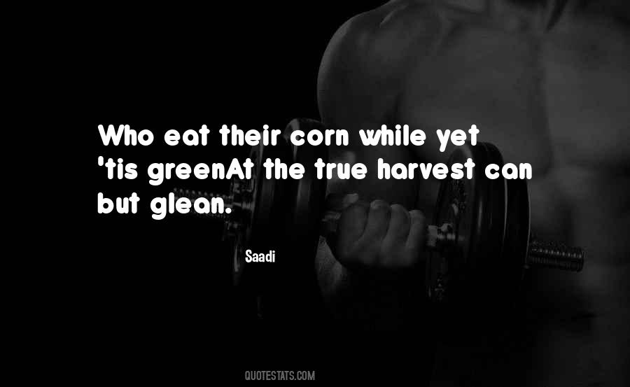 Saadi Quotes #517917