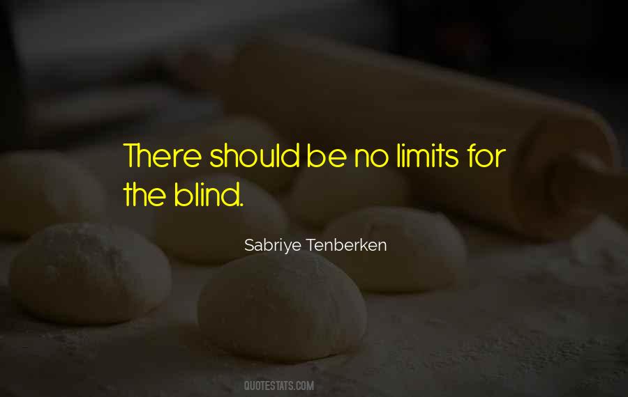 Sabriye Tenberken Quotes #1286628