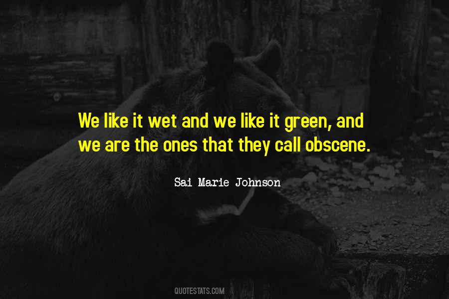 Sai Marie Johnson Quotes #895364