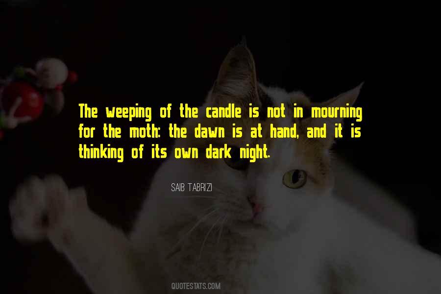 Saib Tabrizi Quotes #1021768